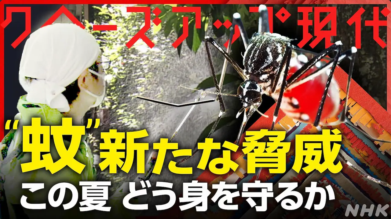 NHK Today’s Close-Up